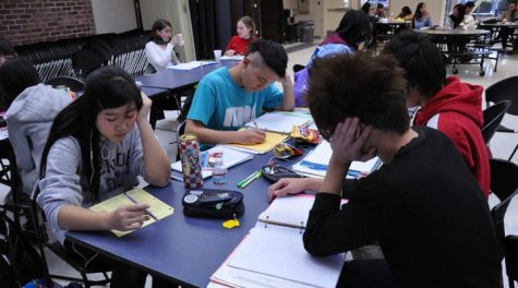 Cocoa Cram Week sets itself as a model for future study programs