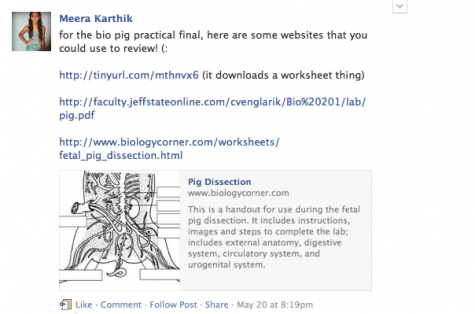 Academic Facebook groups promote productivity, not procrastination