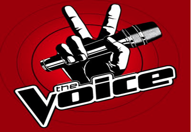 Television: The Voice falls flat on series premiere