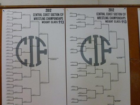Wrestling team met with mixed results at CCS