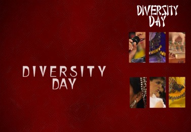 INTERACTIVE GRAPHIC: Diversity Day 2011