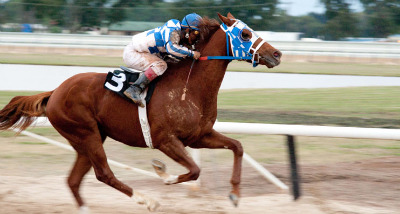 Movie: Secretariat races away from success