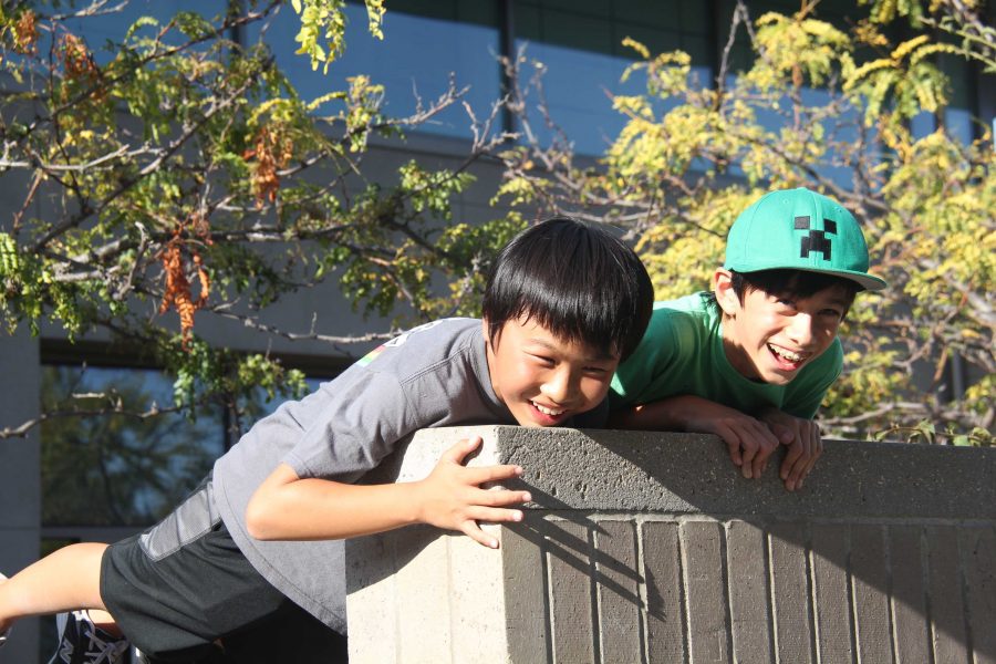 (Mis)adventures at the Cupertino Library: Bear statues, talking mice and a four-boy parkour team