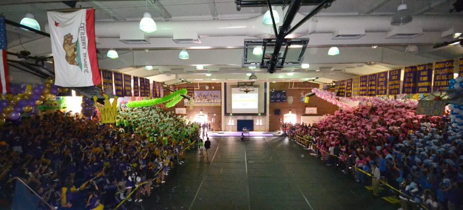 The+freshmen%2C+sophomores%2C+juniors+and+seniors+stand+together+in+the+gym+during+the+2014+Homecoming+Rally.+Though+the+rally+began+organized%2C+chaos+ensued+near+the+end+due+to+the+confusion+about+the+final+results.+Photo+by+Aditya+Pimplaskar