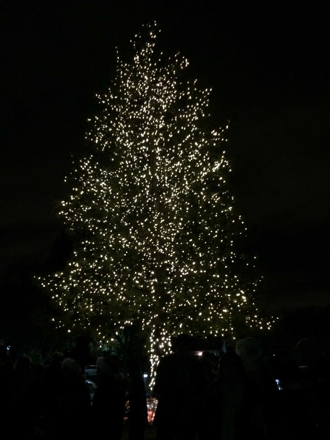 Under the tree: A timeline of the Quinlan Community Center’s annual tree-lighting