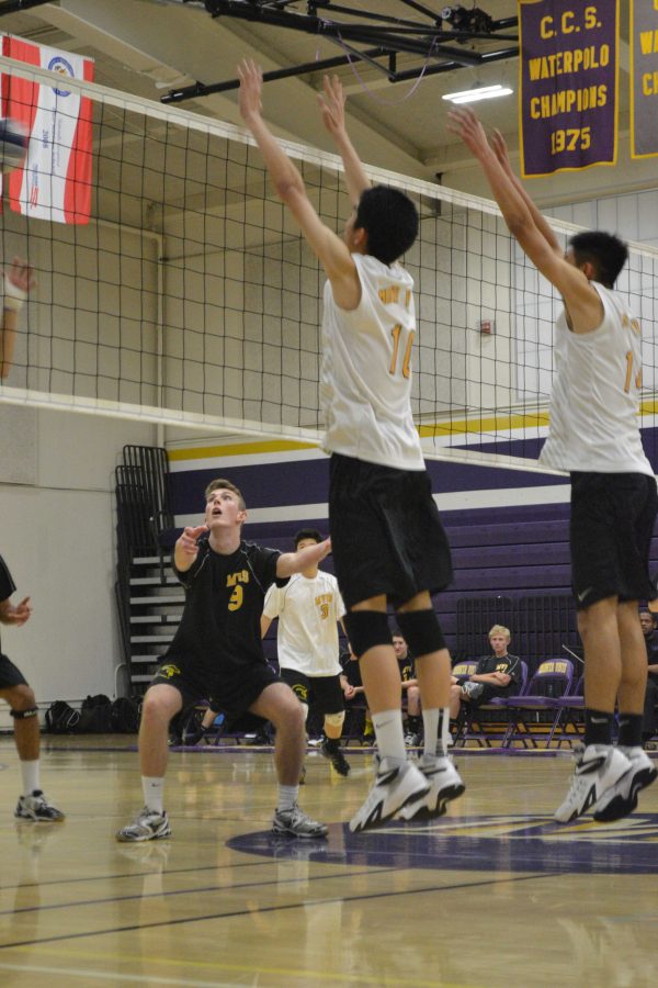 Game GIFs: Boys volleyball defeats Spartans for the first time in eight years