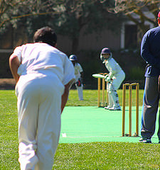 The Other Ball Game: Students struggle to pursue their passion for cricket in America