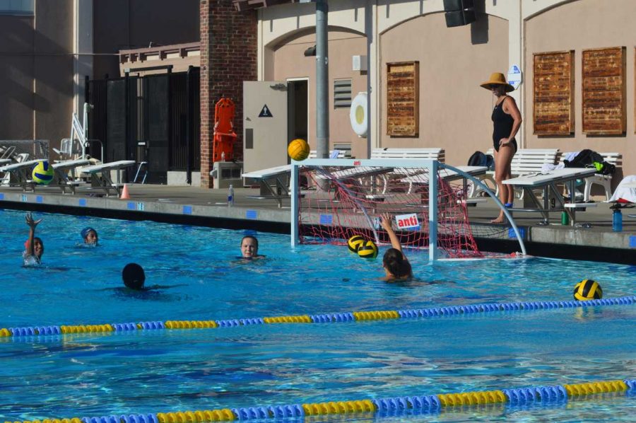 Girls water polo: Team looks forward to upcoming season with new coaches