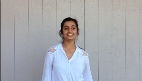 Video/Q&A: Raas members teach basic steps and prepare for tryout process