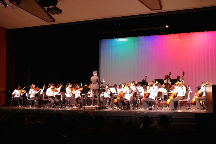 String Orchestra performs their first piece. Their repertoire was composed of music from various time periods. Photo by Andrea Schlitt.