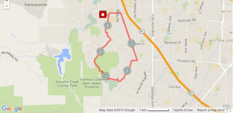 Cross country: Team shares common practice runs