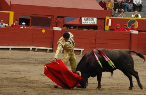 Monta Vista On: Is our mascot offensive?
