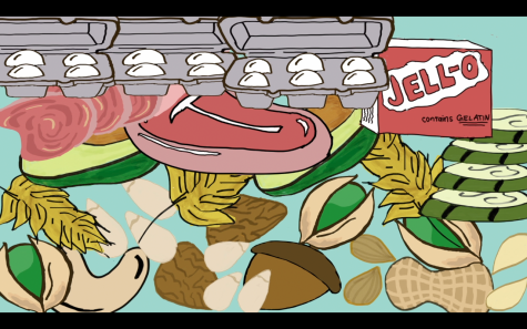 Students share what it’s like to live with Food Allergies