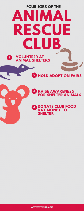 A year in review: Animal Rescue Club