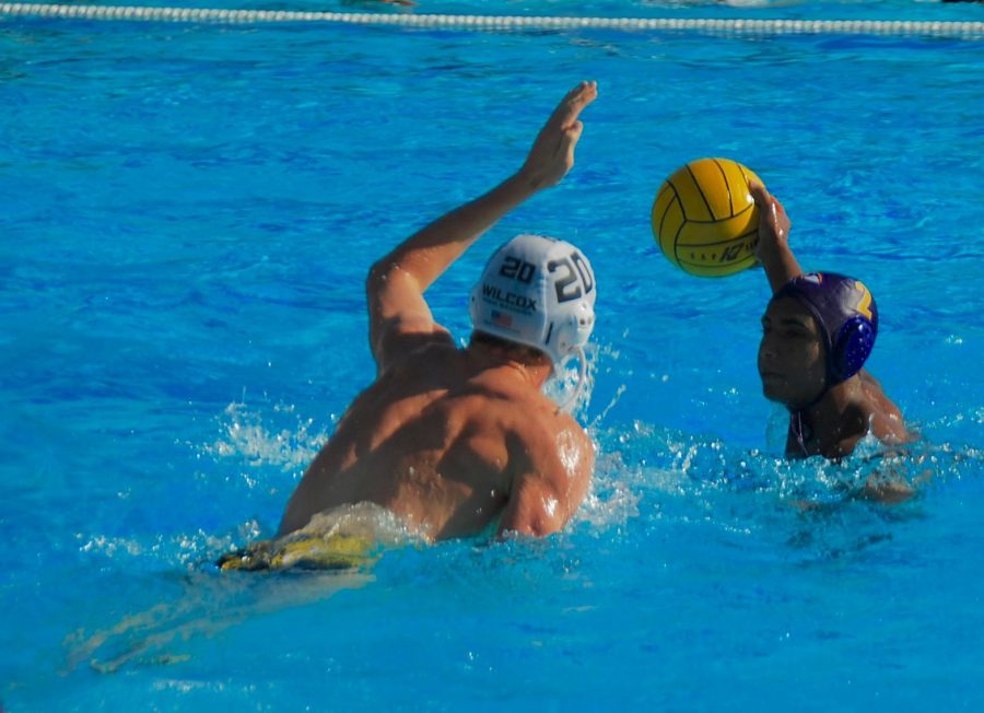 Photo gallery: Boys water polo defeats Wilcox HS