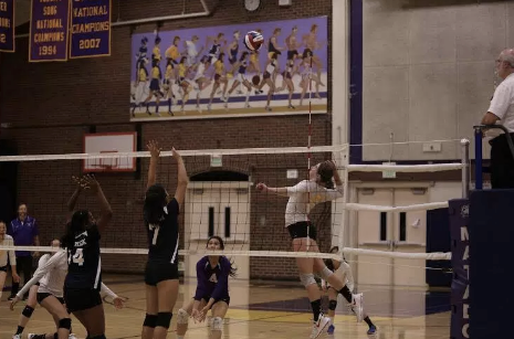 Girls volleyball: Senior Ellie Cary's journey in volleyball