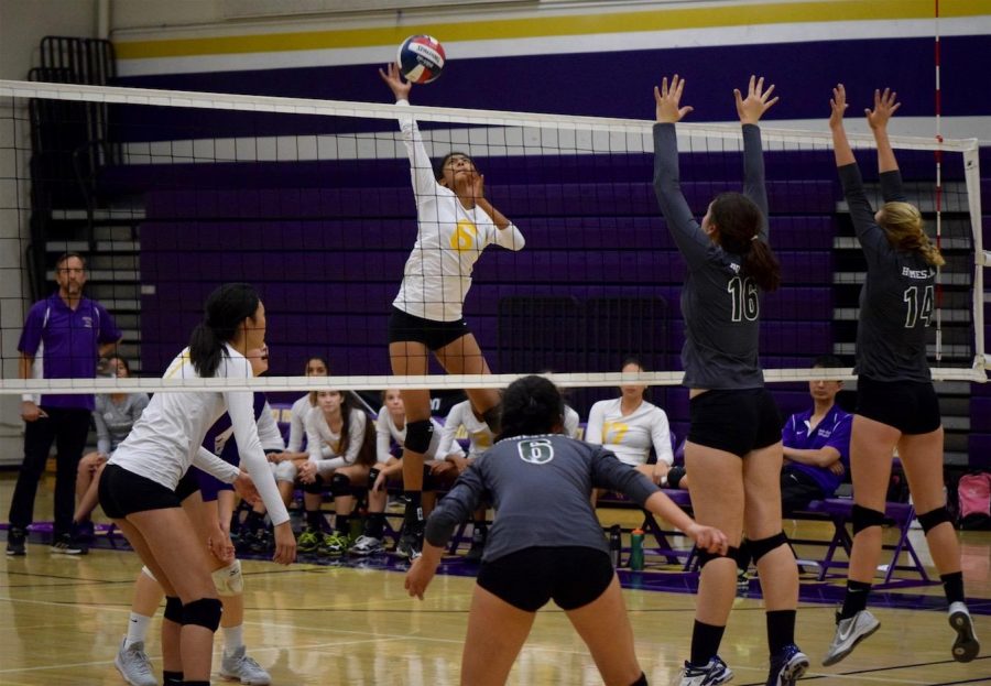 Girls volleyball: Team takes win from Homestead HS
