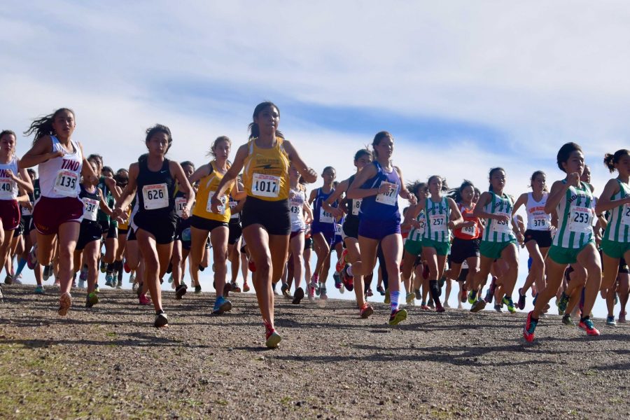 Cross country: CCS appearance marked with top 10 finish