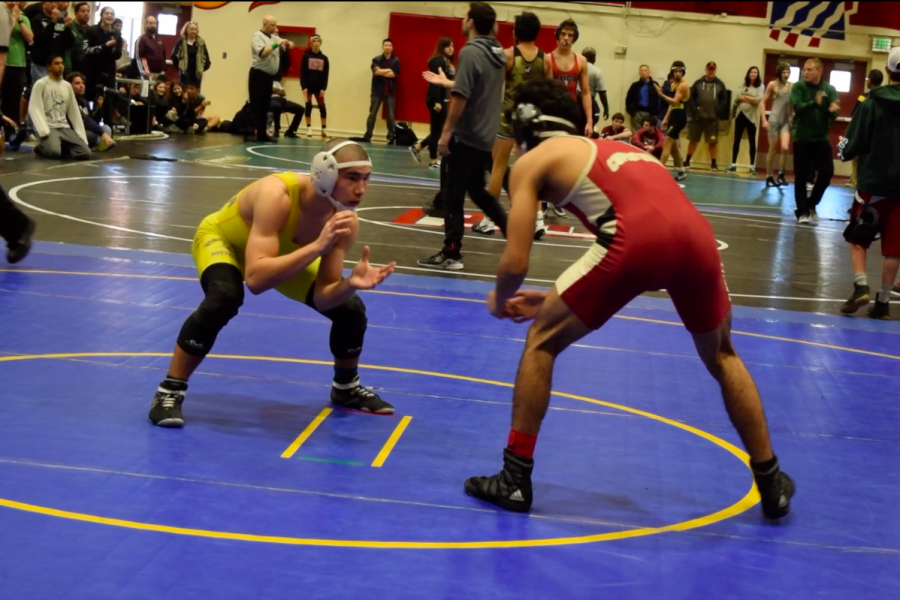 A Wrestless day: A day in the life of a wrestler