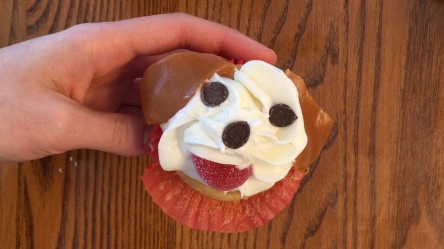 Homemade Hipster: How to make “pupcakes”