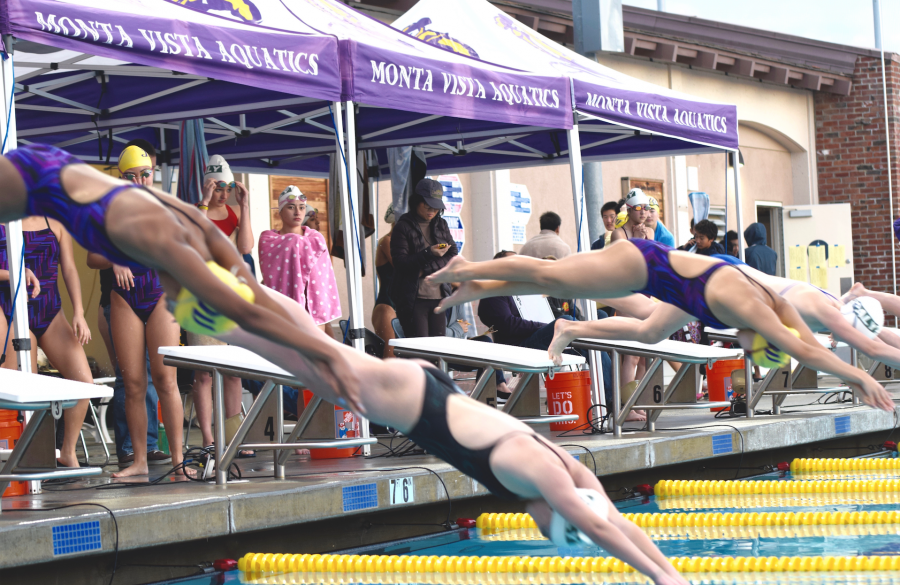 Swimming: Palo Alto HS defeats MVHS at their first swim meet