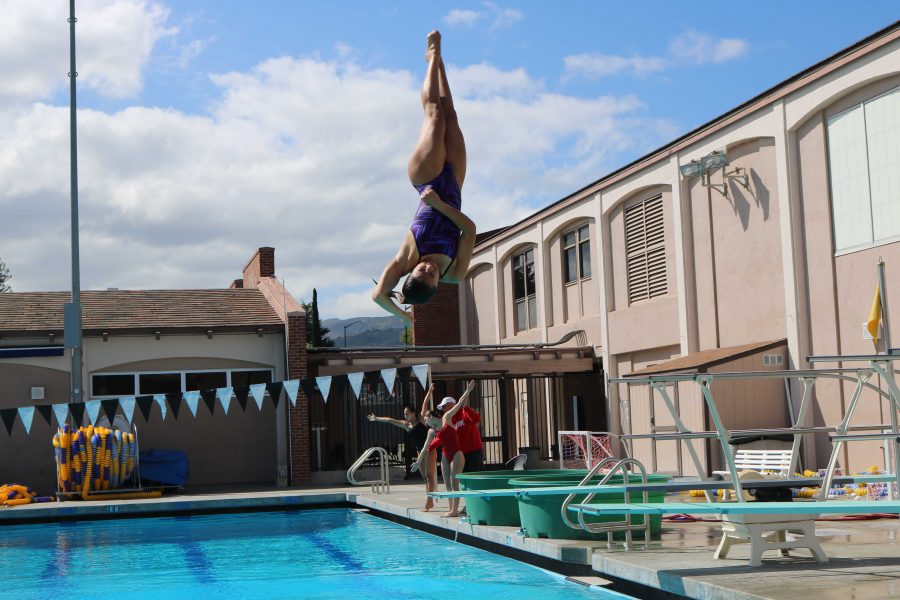 high diving near me