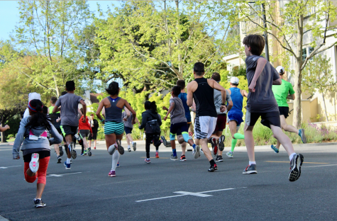 Sunday Project: Sights at the Cupertino 5K Bunny Run