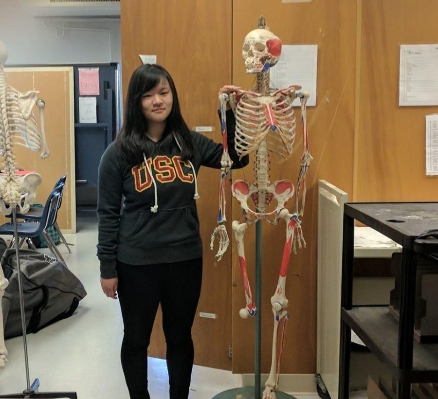Junior Gina Yang stands with a model skeleton, affectionately known as Sherman, in the Biology TA area. Yang has both taken AP Biology with teacher Renee Fallon and assisted her as a TA.