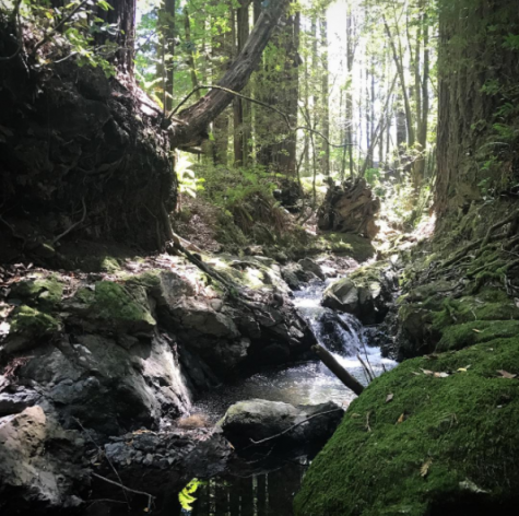 10 places in the Bay Area you can visit over the summer
