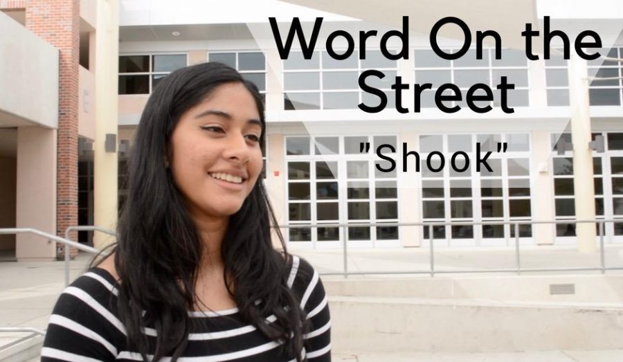 Word on the street: shook
