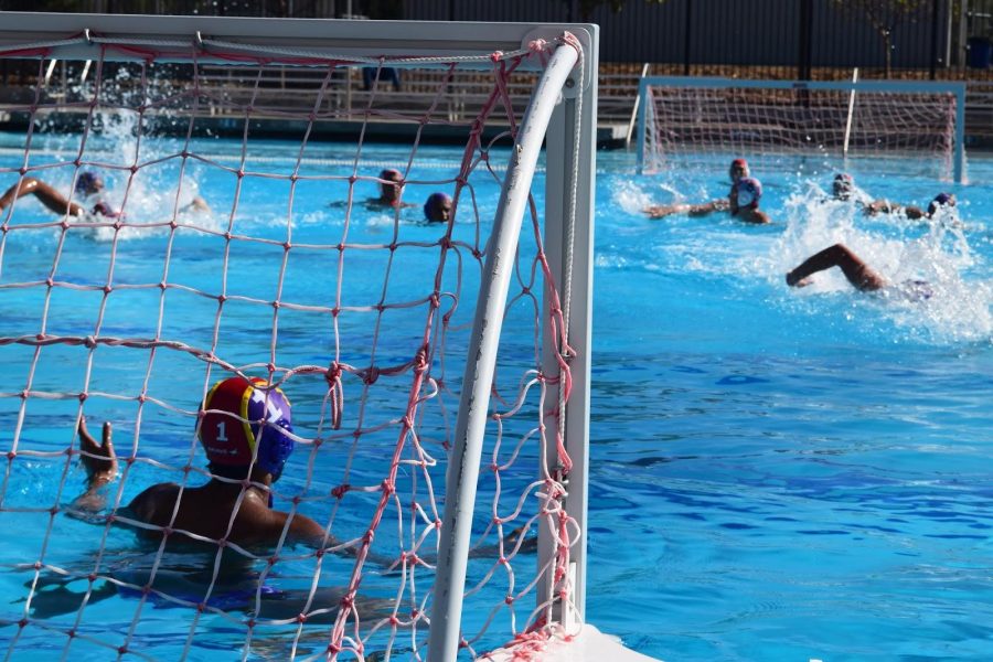 Boys water polo: Team loses to Gunn HS 4-19