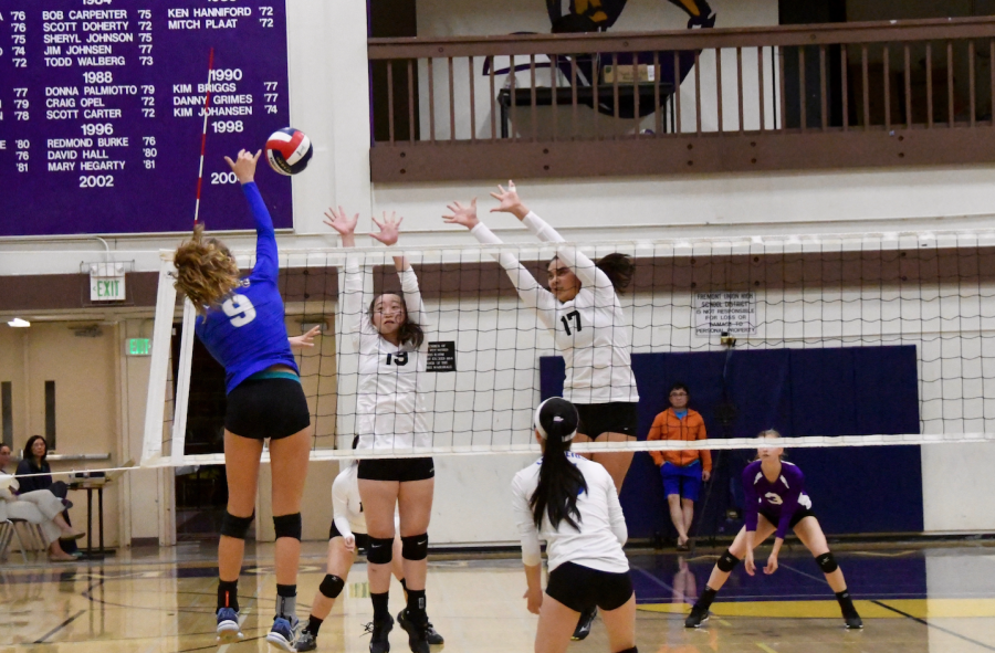 Girls volleyball: Team loses all sets against Los Altos HS