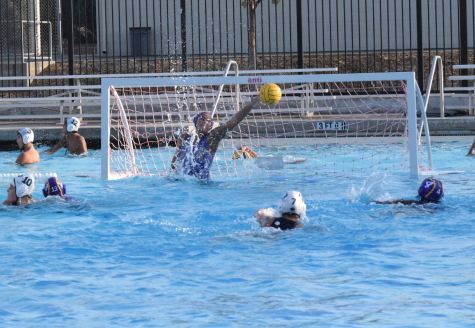 Girls water polo: Team victorious in must-win game against Harker HS