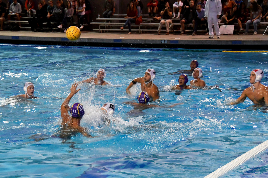 Boys water polo: Team loses to Los Gatos HS 6-10