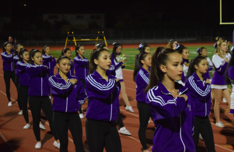 Exploring Athletics