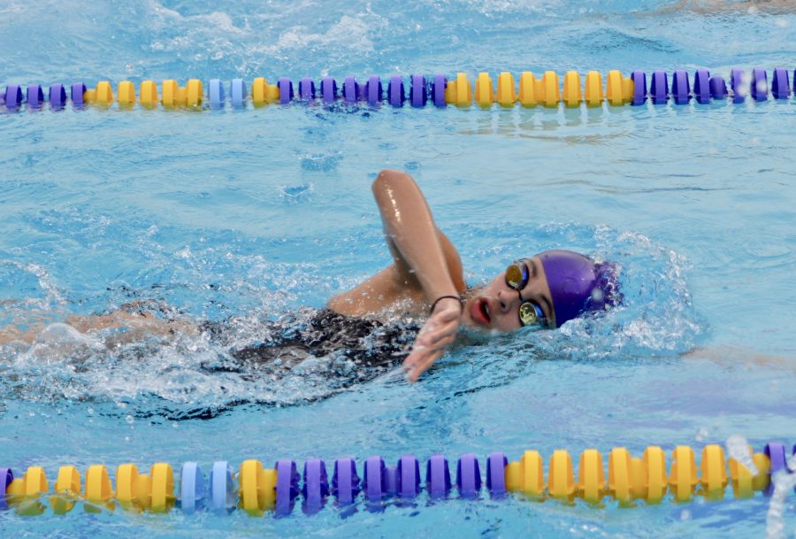 Swimming: Palo Alto HS defeats MVHS