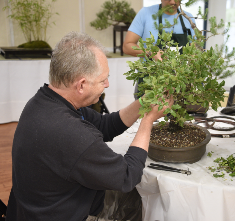 Cherry Blossom Festival: an exhibit of Japanese culture