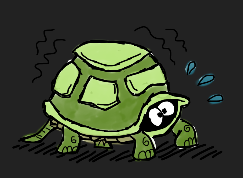 Coming out of my shell: tortoise troubles
