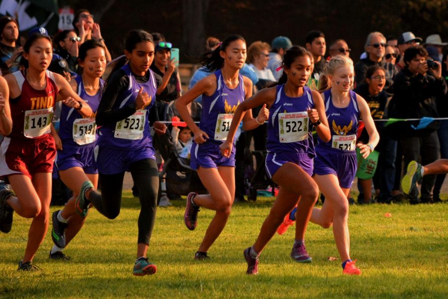 Members of the girls XC team start their race in the CCS championship which took place in Salinas, California. Photo used courtesy of Monta Vista X-Country & Track/Fields.
