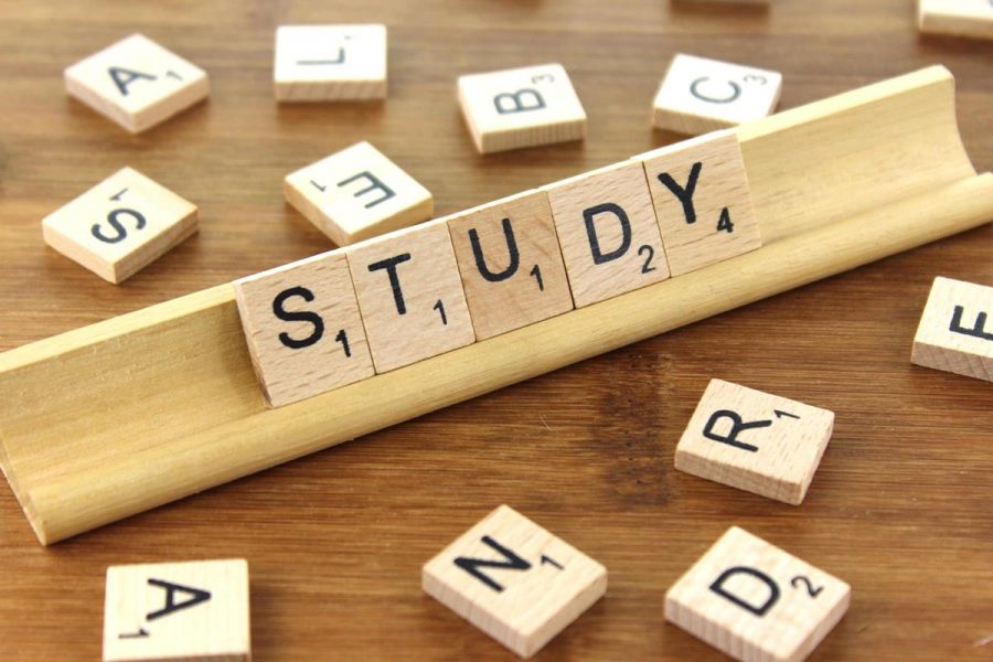 Should students study over break?