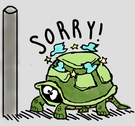 Coming out of my shell: Awkward Advice