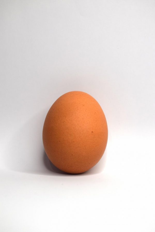 Cracking the egg: The era of the Instagram-famous World Record Egg