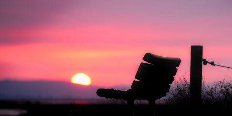 Constant Change: As I discovered a liking for solitude