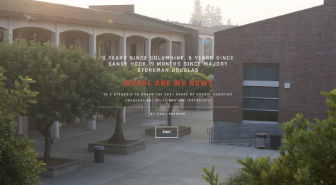Twenty years since the Columbine High School Massacre: where are we now?