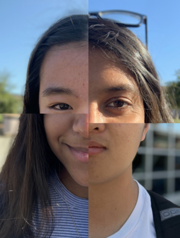 The skin we live in