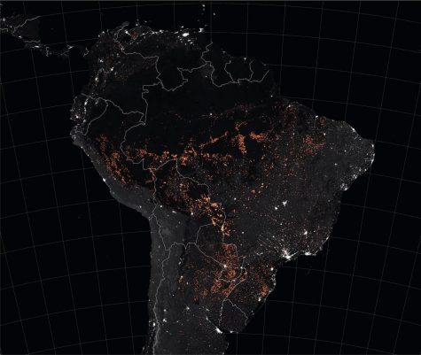 Addressing the sparse media coverage of the Amazon fires