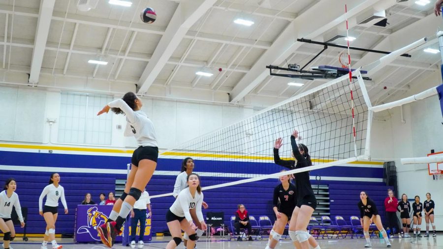 Junior Carina Johnson hopes to score and take the lead against Gunn HS in the fifth set. Photo by Justine Ha 
