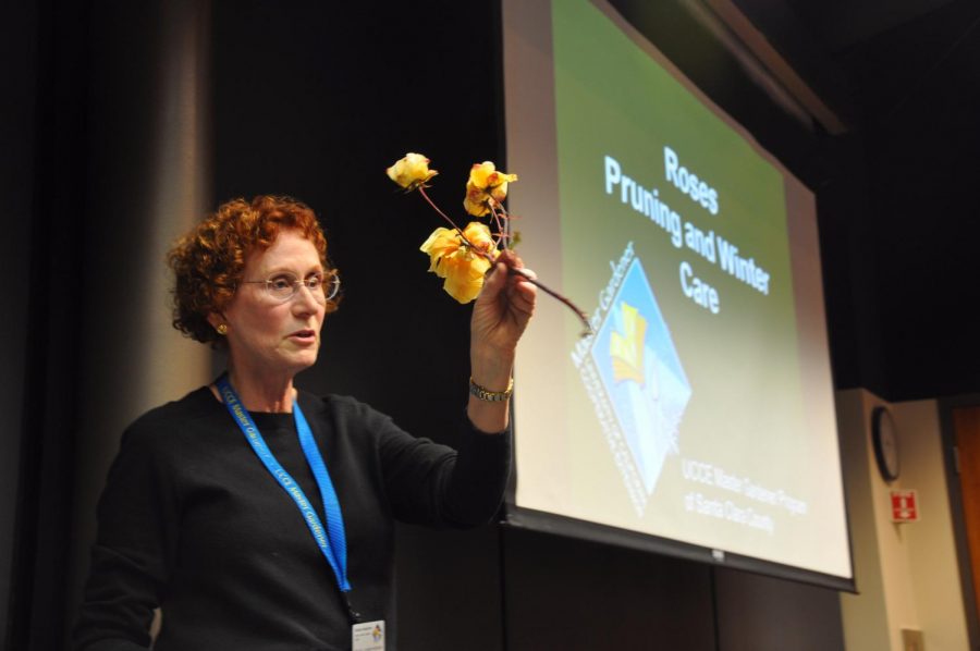 Speaker Paula Larkin-Hutton holds up a rose stem while she describes the different parts of the rose and answers questions from the audience. 