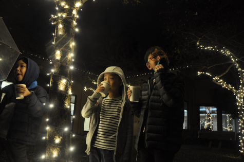 Spruce it up: Cupertino Tree Lighting Ceremony