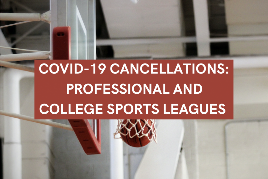 Professional and college sports leagues cancel events